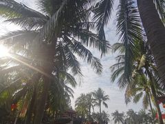 -白沙门生态公园