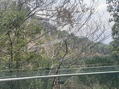 -福道