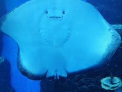 -成都浩海立方海洋公园