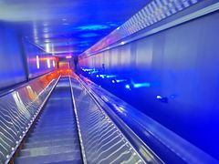 -白鹤梁水下博物馆