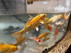 -中影国际影城(兰生大厦店)