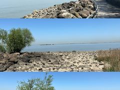 -上海吴淞炮台湾国家湿地公园