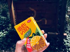 景点-龙泉岩寺庙群