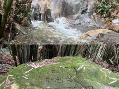 -缙云山景区