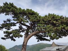 -妙峰山风景名胜区