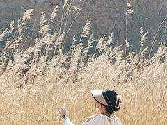 -波浪谷