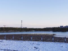 -大兴滨河森林公园