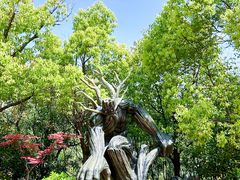 -芜湖方特东方神画