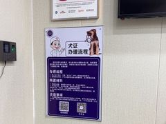-爱佳宠物中心医院24H·CT·骨外科·猫专科(瑶海万达店)