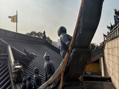 -上海东林寺(金山区)