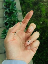 -Eri Nail·绘里专业美甲美睫