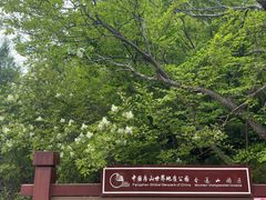-圣莲山风景区