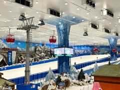 -湘江欢乐城欢乐雪域