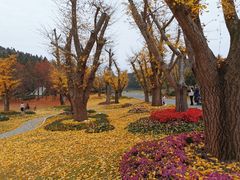 -南京银杏湖乐园