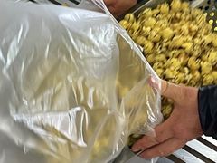 -正宗老杨特色爆米花(四棉店)