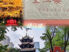-青城山