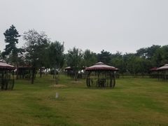 -南京枫彩漫城