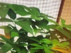 -尚荟汤泉生活馆