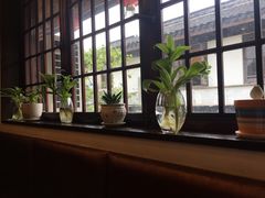 靠窗位-同得兴 Since·1995 传统苏式面馆(十全街店)