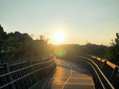 -福道