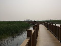 -白洋淀景区
