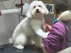 -宠颐生动物医院·小陆分院