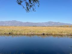 -野鸭湖国家湿地公园