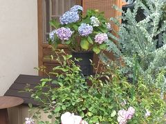 -章太炎故居