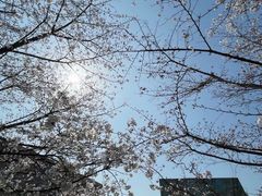 -龙美术馆(西岸馆)