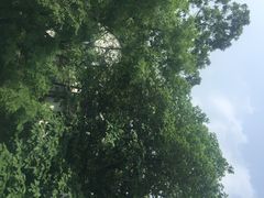 花家山庄-杭州花家山庄