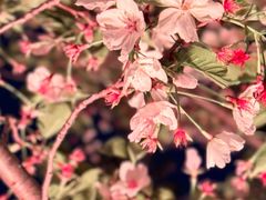 -西北湖绿化广场