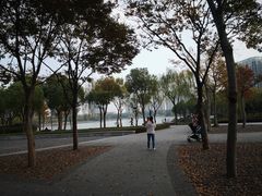 -南翔镇银翔湖公园