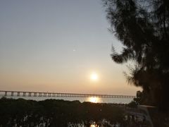 -宝安西湾红树林湿地公园