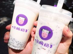 -一只酸奶牛(八一路店)