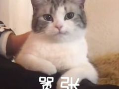 -茉沏(光启城店)