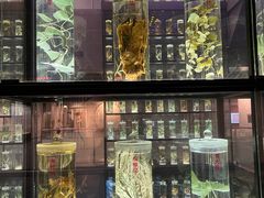 -广东中医药博物馆