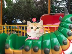 -泰安方特欢乐世界