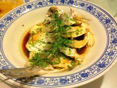 IMG_4618_副本兰9-兰边碗(鼓楼店)
