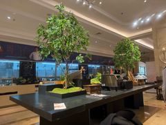 -锦粤宫·精致粤菜(深圳北站店)
