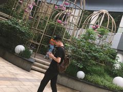 -武汉光谷K11