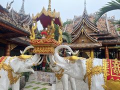 -西双版纳傣族园