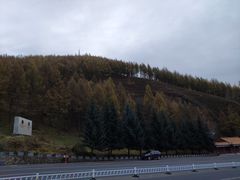 -塞罕坝国家级自然保护区