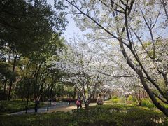 -徐家汇源景区-衡山公园