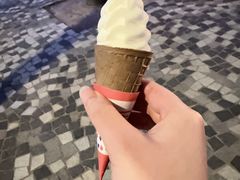 -富豪雪糕车流动点(尖沙咀)