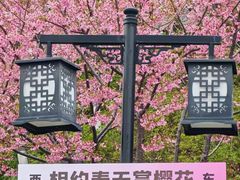 -龟山风景区-龟山电视塔