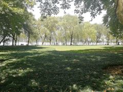 -柳浪闻莺公园