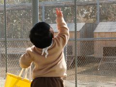 -前小桔亲子创意农场·草莓采摘·露营烧烤