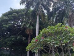 -厦门高崎国际机场-T3航站楼