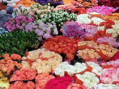 -双季花艺园艺市场(浦东店)