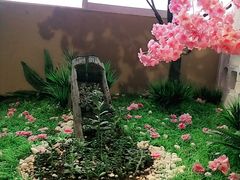 -恋羊时代黑山羊火锅(滨海大道店)